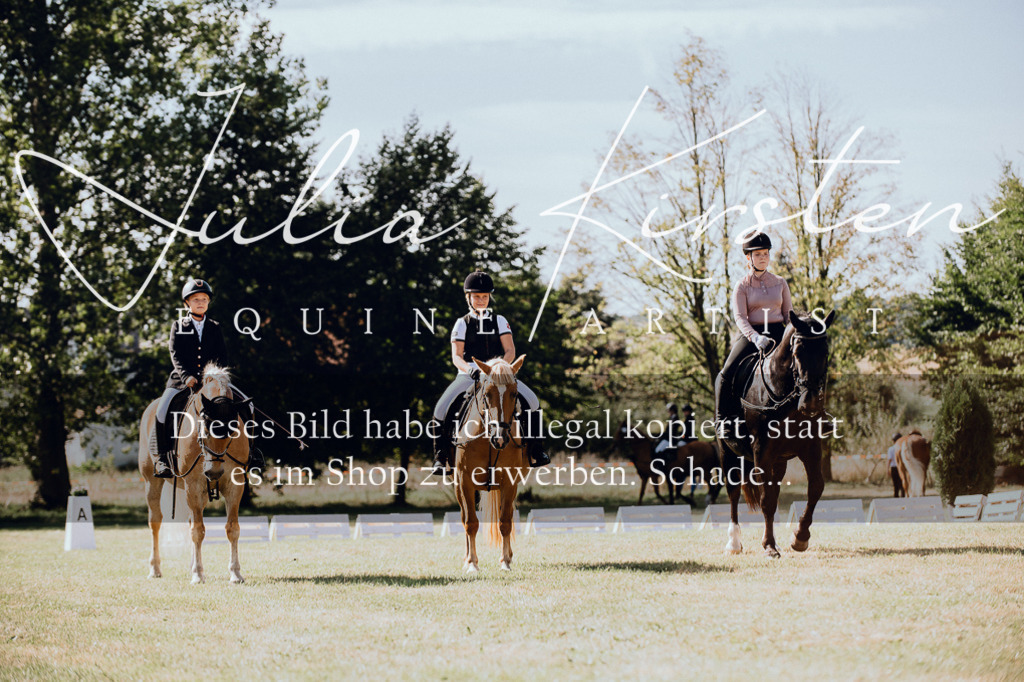 DSC_7159 | Pferde- und Turnierfotografie in Westsachsen. Pferdeportraits, Auftragszeichnungen und intuitive Kunst.
