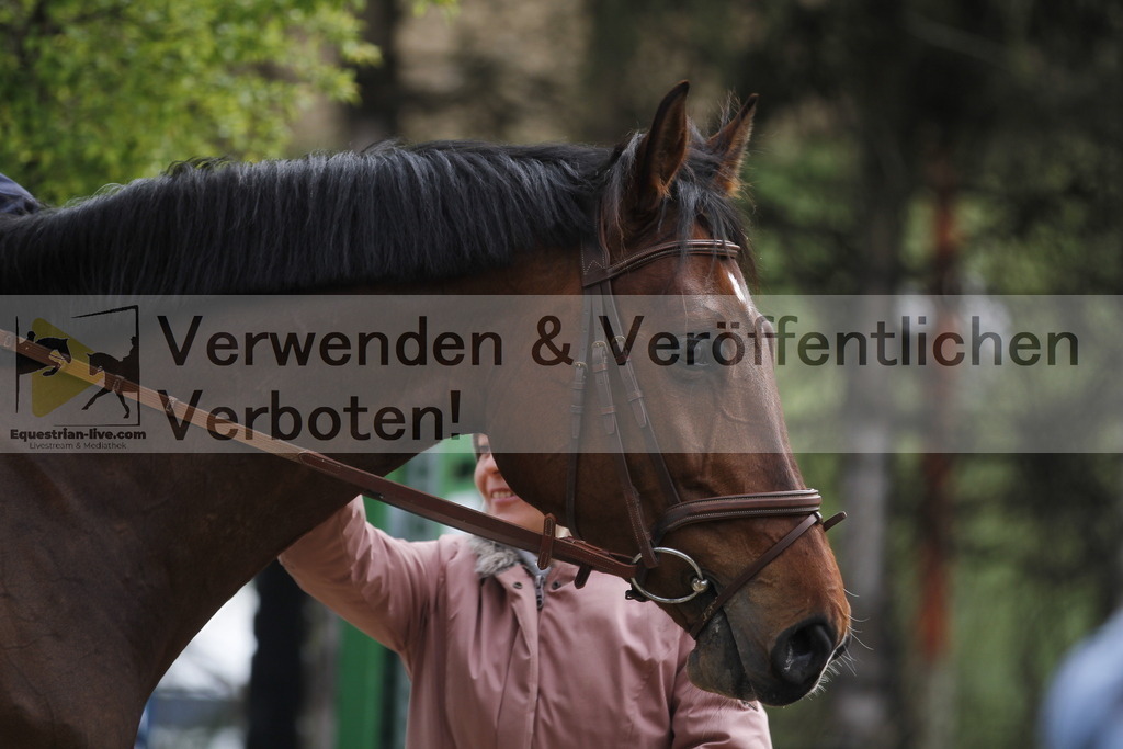 _MG_0822 | equestrian-live-com