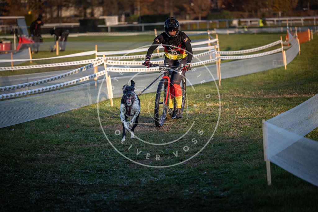 CaniXpix_0L8A2114 | Hundefotografie, Tierfotograf, Pfotenfotografie, Fotoshooting Hund, Hunde Portrait, Hundesport, Hundeportraits, Heideshooting, Hunde, Sportfotograf, Hundefotograf, Turnierhundsport, THS,  - Realisiert mit Pictrs.com