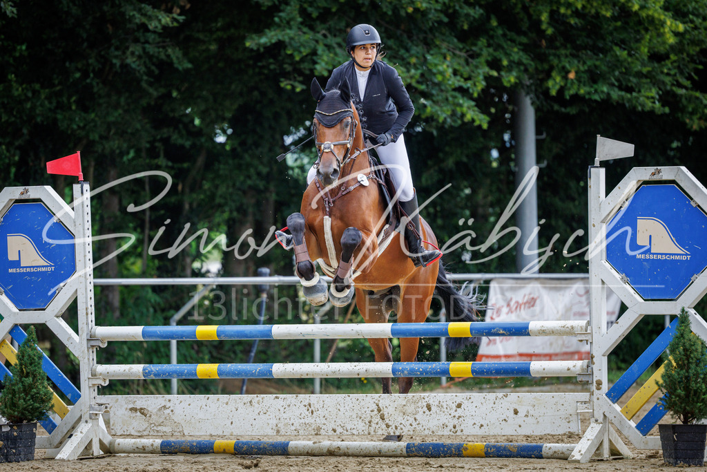 20260705-_3LI5208 | Tierfotografie Pferde, Hunde, Katzen, Haustiere.
Turnierfotografie Reitturniere, Reiten, Springreiten, Dressur in Hanau, dem Main-Kinzig-Kreis und dem Rhein-Main- Gebiet um Frankfurt