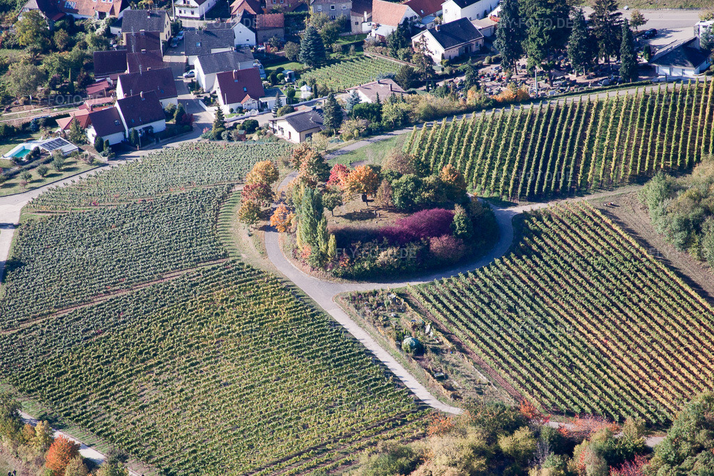 Luftbild: Baum-Insel auf einem Weinberg in Burrweiler im Bundesland Rheinland-Pfalz in Deutschland. Foto: IMG_22210.jpg vom 15.10.2009 durch Werner Riehm/FLY-FOTO.de