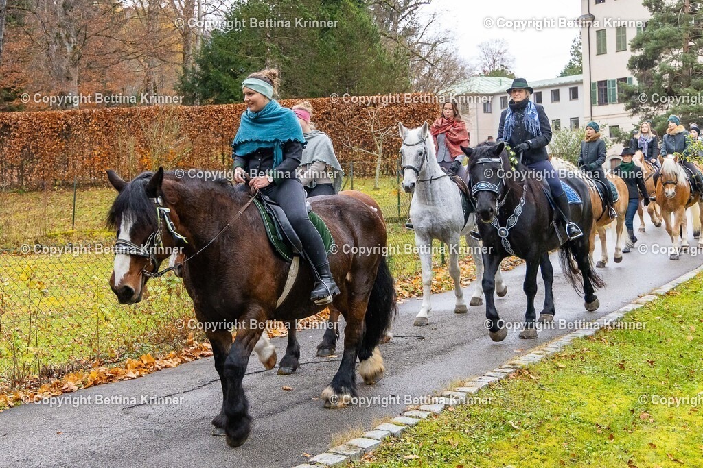 LL25-132 | foto-bettina-krinner - Realisiert mit Pictrs.com