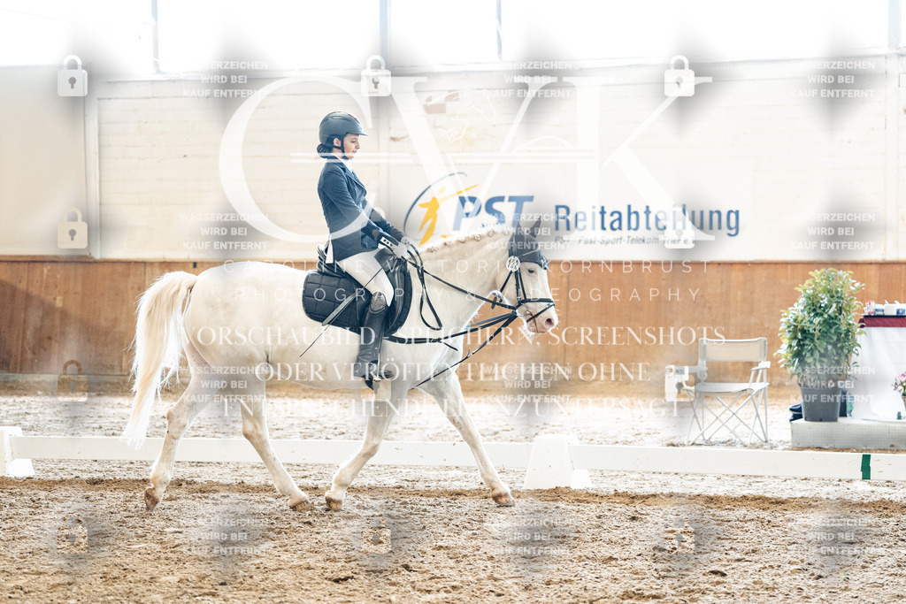 CK900021 | Turnierfotografie Pferdefotografie Trier Rheinland-Pfalz Pferdesport Reitsport Tierfotografie Sportfotografie Pferdevideo Pferdevideografie Equestrianvideography equestrianphotography  - Realisiert mit Pictrs.com