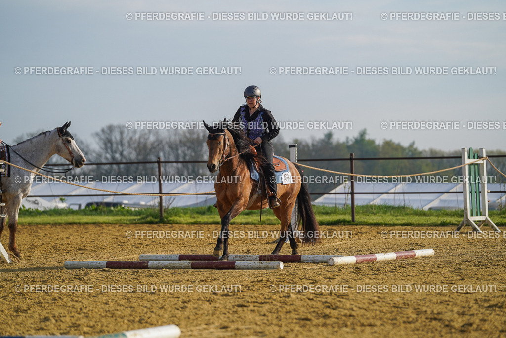 DSC00660 | Pferdegrafie