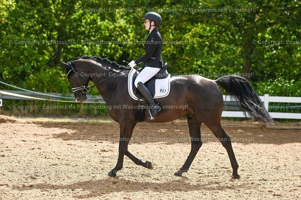 20230715_07_Dressurpferdeprfg. Kl.L_0170 | equistock
