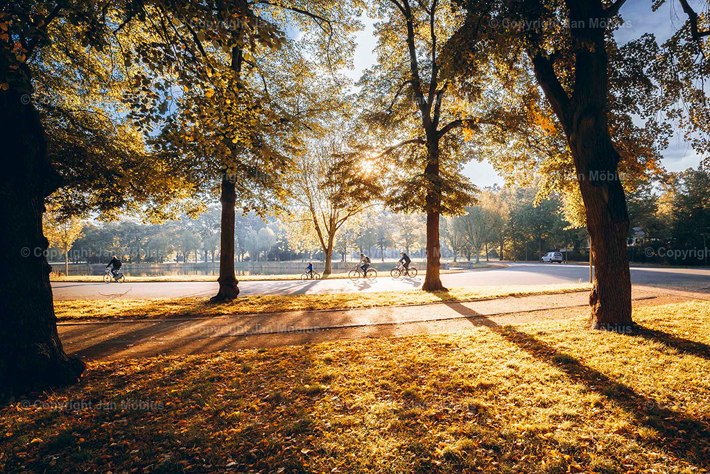 Clara Park | Der Clara-Zetkin-Park in Leipzig ist ein beliebter Ort für Natur, Sport und Erholung – perfekt für Spaziergänge, Jogging und entspannte Stunden im Grünen. - Realisiert mit Pictrs.com