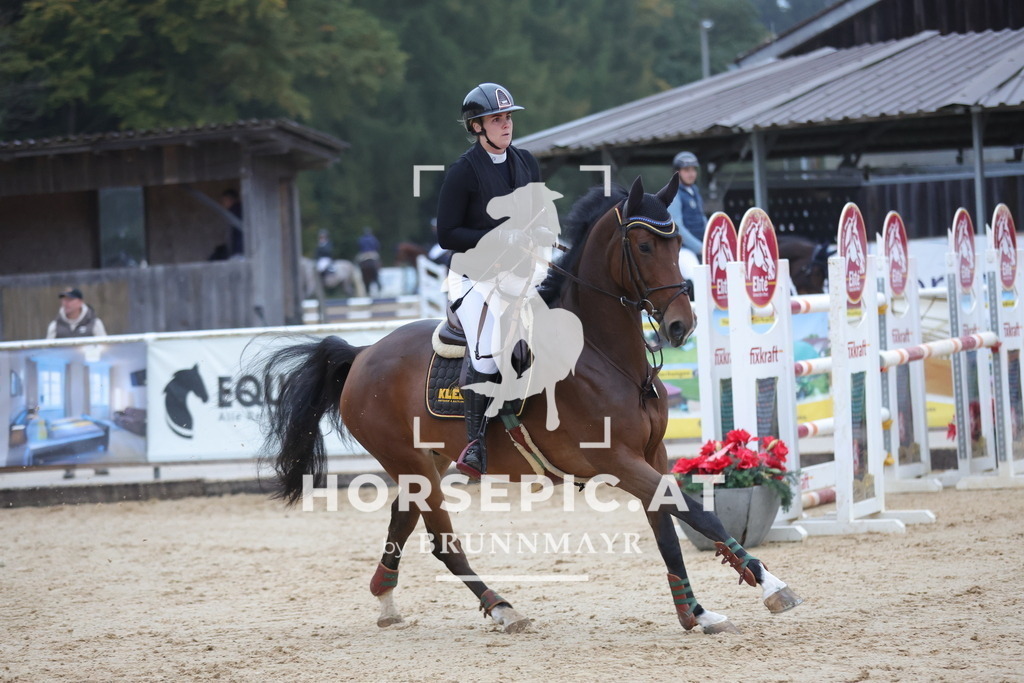 0P6A5583 | Willkommen bei Brunnmayr - Design & Fotografie – Ihrem Spezialisten für Reitturniere und Pferdeveranstaltungen in Oberösterreich, Salzburg und Bayern! Seit über 17 Jahren sind wir leidenschaftlich dabei.