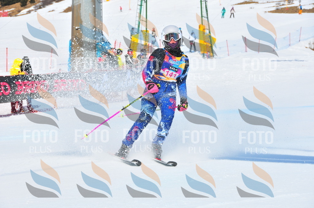 DSC_4988 | holidayphoto