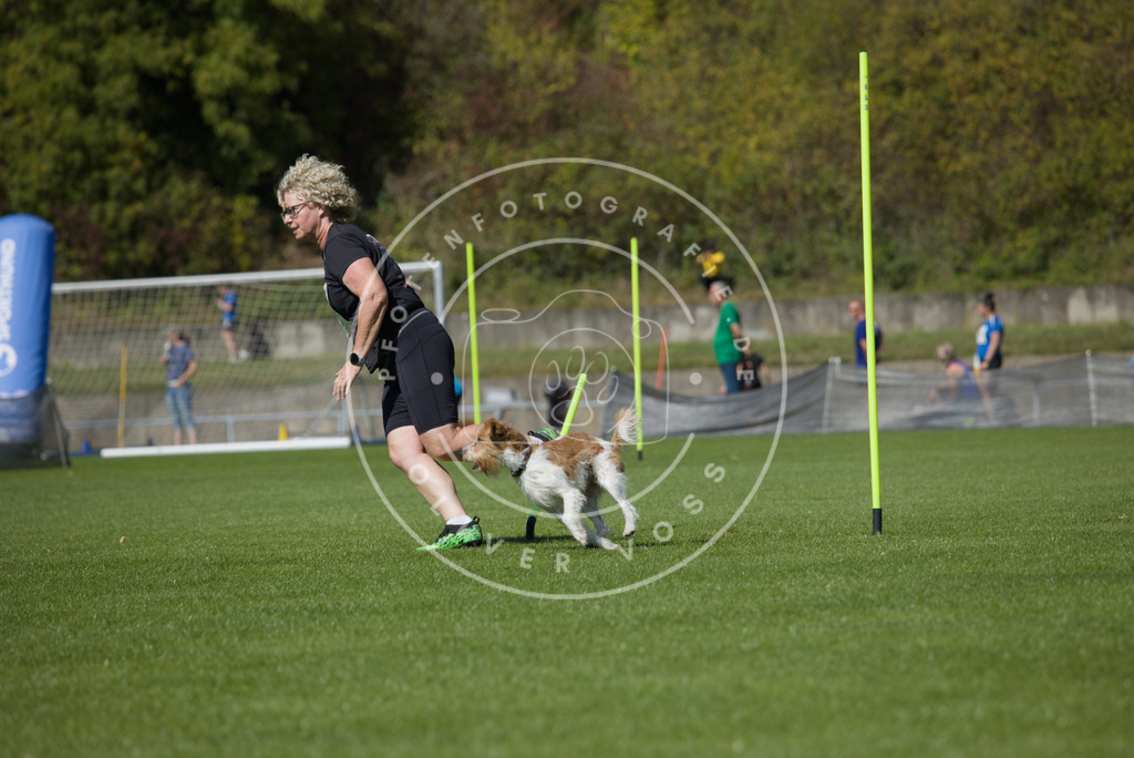 0L8A6680 | Hundefotografie, Tierfotograf, Pfotenfotografie, Fotoshooting Hund, Hunde Portrait, Hundesport, Hundeportraits, Heideshooting, Hunde, Sportfotograf, Hundefotograf, Turnierhundsport, THS,  - Realisiert mit Pictrs.com