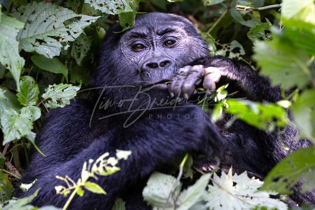 2N8A1483 Kopie | Buy high-quality aviation and travel photography prints by professional photographer Timo Breidenstein. Authentic images, professionally printed, worldwide shipping. - Realisiert mit Pictrs.com