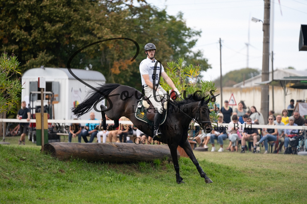 A7V03747 | Pferdefotograf