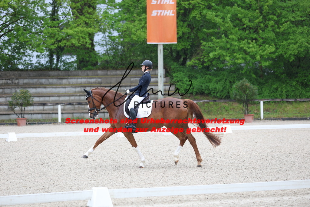 A40A7164 | lmwpictures - Realisiert mit Pictrs.com