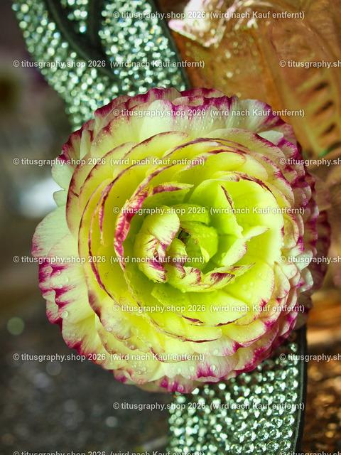 titusgraphy_P5066626_vz-ln | titusgraphy-shop: Geschenkideen mit Qualitätsfotos. titusgraphy-shop: gift ideas with quality photos. titusgraphy-shop: idées cadeaux avec photos de qualité.  - Realisiert mit Pictrs.com