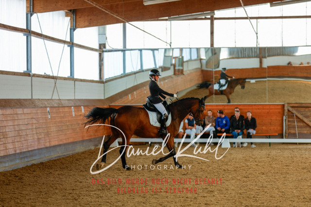 _62_7145 | Turniersportfotografie; Pferdefotografie; Dressurfotografie