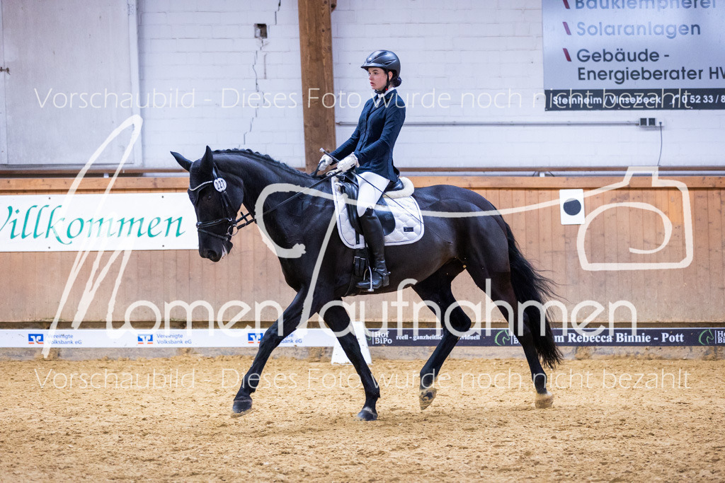 Sth-A-Dre-2St-114 | MomenTaufnahmen Pferdesportfotos