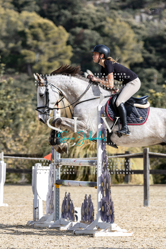 IMG_3360 | s-jay-photography - Realisiert mit Pictrs.com