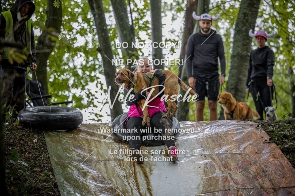 nelerasche_Hunsrück_Sa1430-1500_203-final | nelerasche