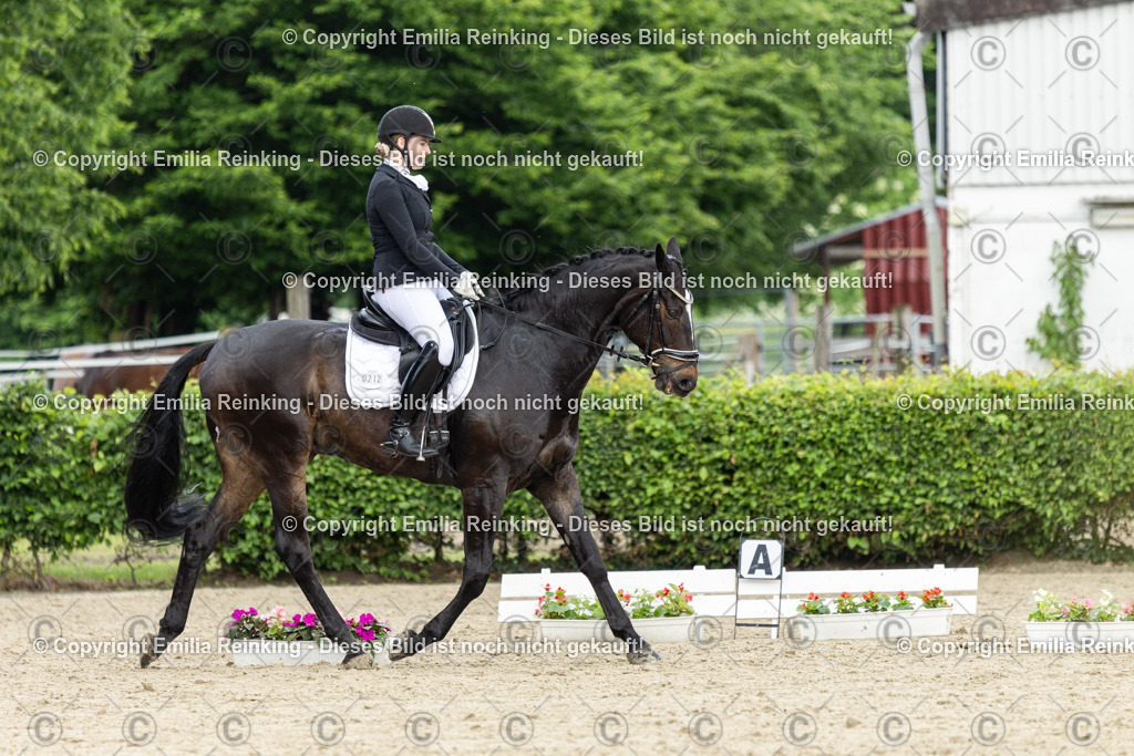 CL5A1118 | Emilia Reinking Fotografie - Realisiert mit Pictrs.com