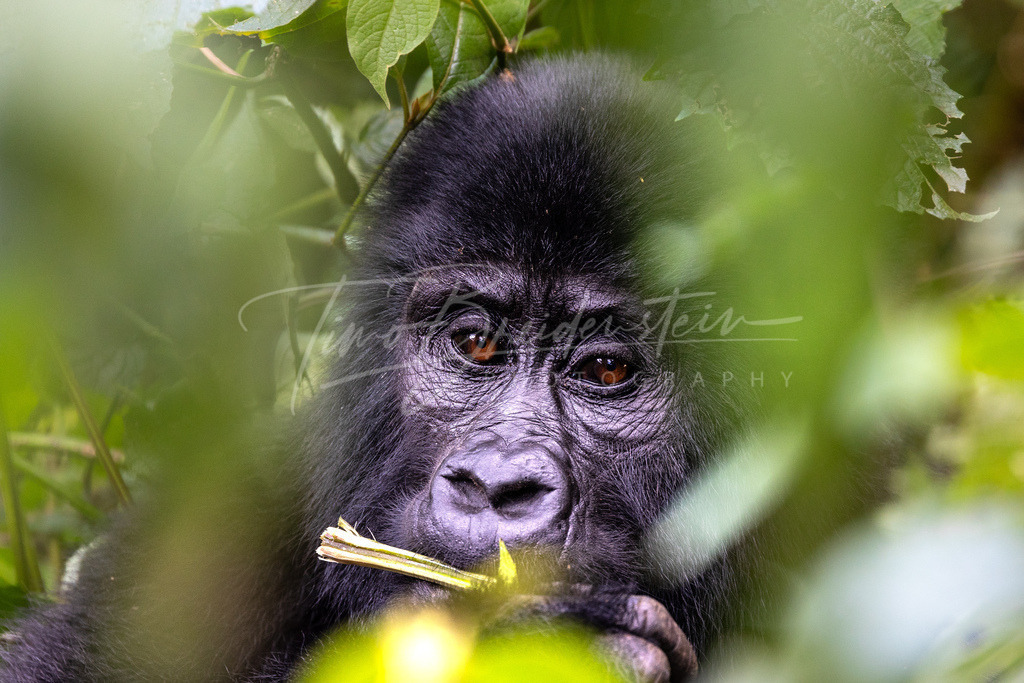 5D2A6518 Kopie | Buy high-quality aviation and travel photography prints by professional photographer Timo Breidenstein. Authentic images, professionally printed, worldwide shipping. - Realisiert mit Pictrs.com