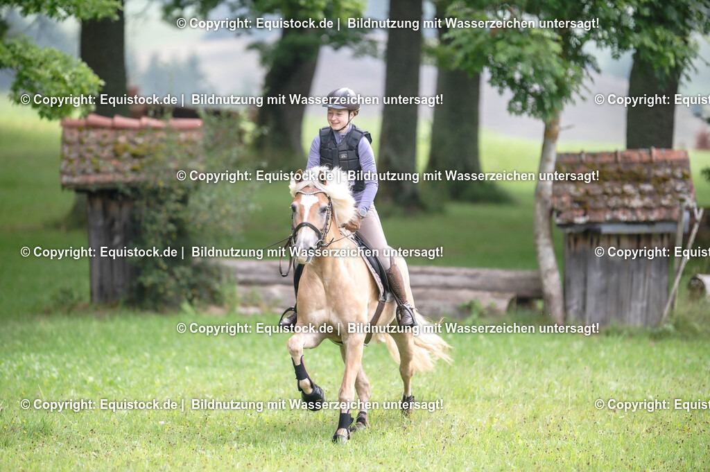 20250726_Vielseitigkeitslehrgang-Marbach_0154 | Foto: Thomas Hartig