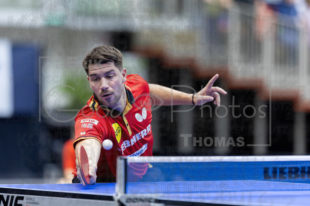 European_Championships_2024-10-19_103 | good-photos - Realisiert mit Pictrs.com