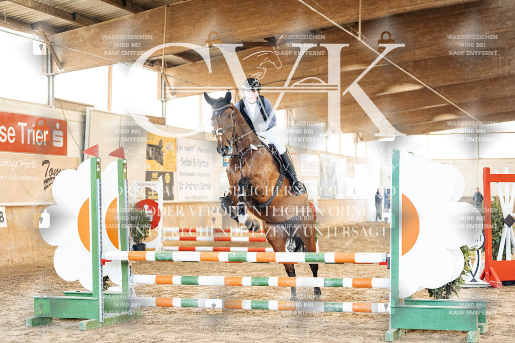 CK903716 | Turnierfotografie Pferdefotografie Trier Rheinland-Pfalz Pferdesport Reitsport Tierfotografie Sportfotografie Pferdevideo Pferdevideografie Equestrianvideography equestrianphotography  - Realized with Pictrs.com