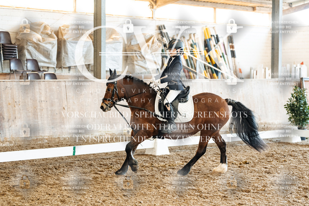 CK900512 | Turnierfotografie Pferdefotografie Trier Rheinland-Pfalz Pferdesport Reitsport Tierfotografie Sportfotografie Pferdevideo Pferdevideografie Equestrianvideography equestrianphotography  - Realisiert mit Pictrs.com