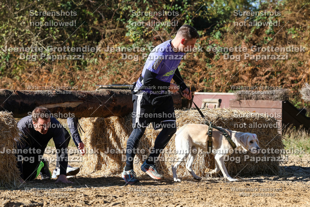 Dog Paparazzi - Strongdog 10-25-2185 | Dog Paparazzi Jeanette Grottendiek Fotografie & Videografie - Realisiert mit Pictrs.com