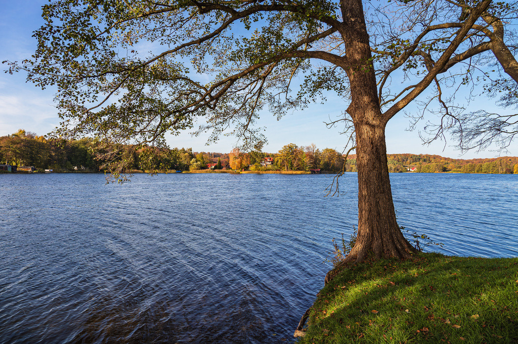 Blick über den See Schmaler Luzin auf die herbstliche Feldberger Seenlandschaft | Blick über den See Schmaler Luzin auf die herbstliche Feldberger Seenlandschaft.