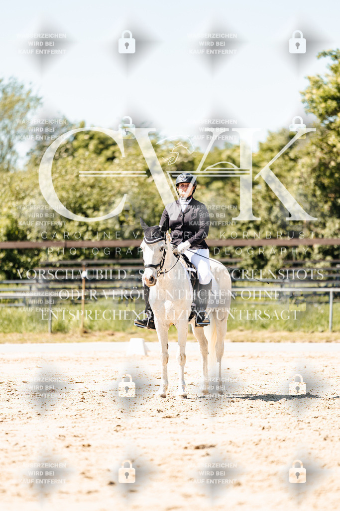 CK905585 | Turnierfotografie Pferdefotografie Trier Rheinland-Pfalz Pferdesport Reitsport Tierfotografie Sportfotografie Pferdevideo Pferdevideografie Equestrianvideography equestrianphotography  - Realisiert mit Pictrs.com