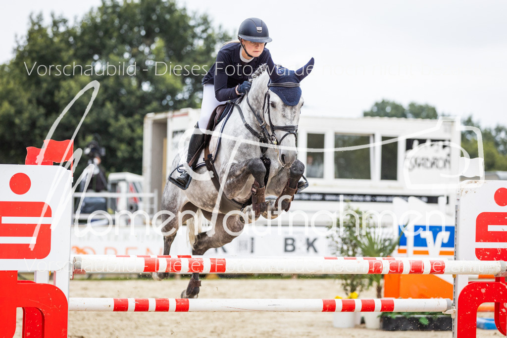 BHO-2PhSpr-M-291 | MomenTaufnahmen Pferdesportfotos