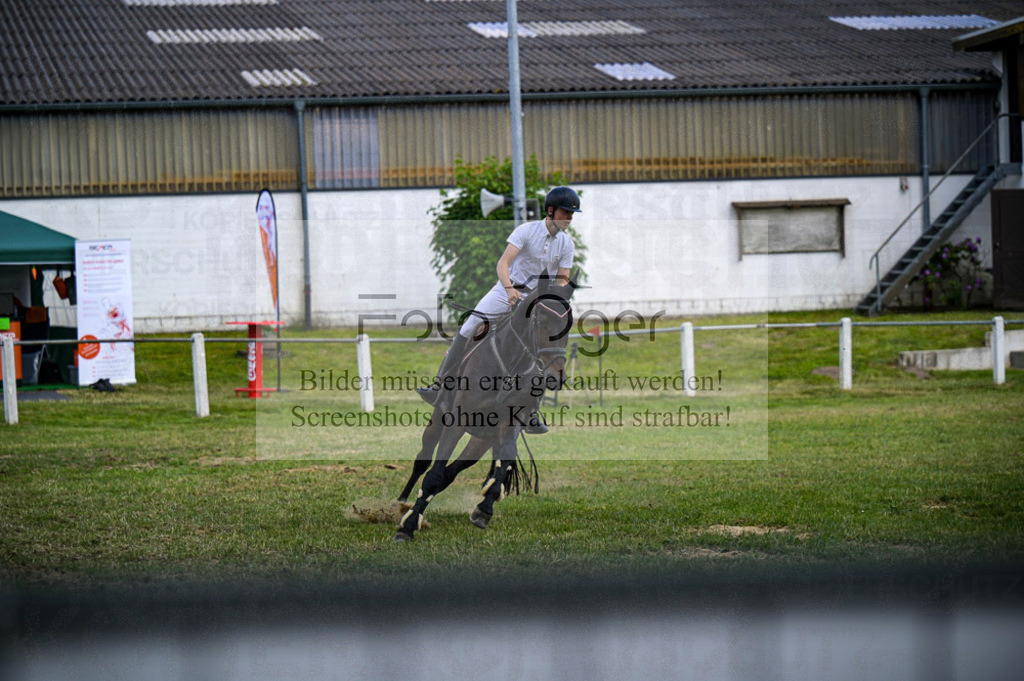Reitturnier Voxtrup | Entdecke hochwertige Reitturnierfotos von Foto Oger. Professionell, emotional und authentisch – jetzt Lieblingsmomente im Shop bestellen.Deutschlandweite Turnierfotografie. - Realisiert mit Pictrs.com