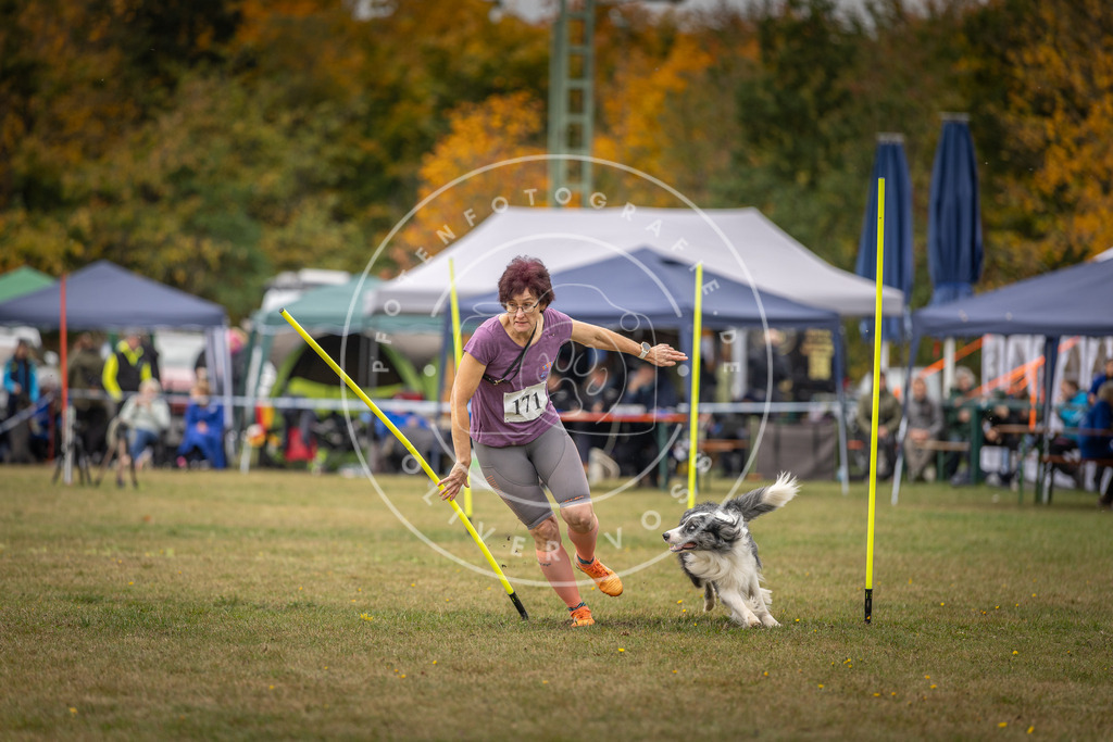 Pfotenfotografie_DV3A5957 | Hundefotografie, Tierfotograf, Pfotenfotografie, Fotoshooting Hund, Hunde Portrait, Hundesport, Hundeportraits, Heideshooting, Hunde, Sportfotograf, Hundefotograf, Turnierhundsport, THS,  - Realisiert mit Pictrs.com