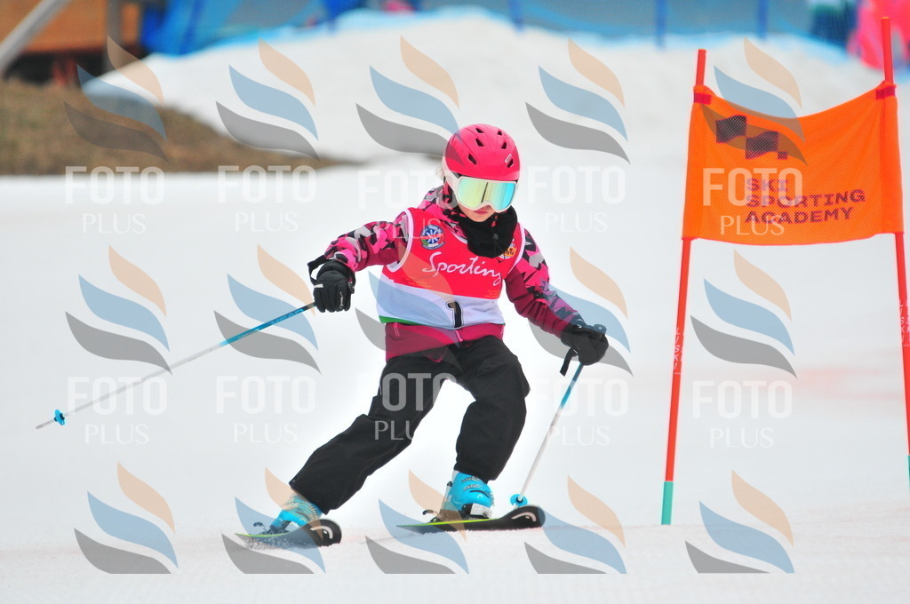 C0383 | holidayphoto