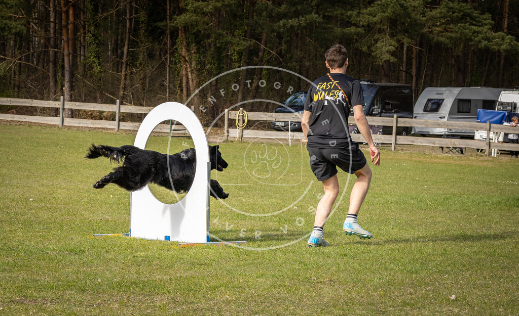 Pfotenfotografie_DV3A3733 | Hundefotografie, Tierfotograf, Pfotenfotografie, Fotoshooting Hund, Hunde Portrait, Hundesport, Hundeportraits, Heideshooting, Hunde, Sportfotograf, Hundefotograf, Turnierhundsport, THS,  - Realisiert mit Pictrs.com