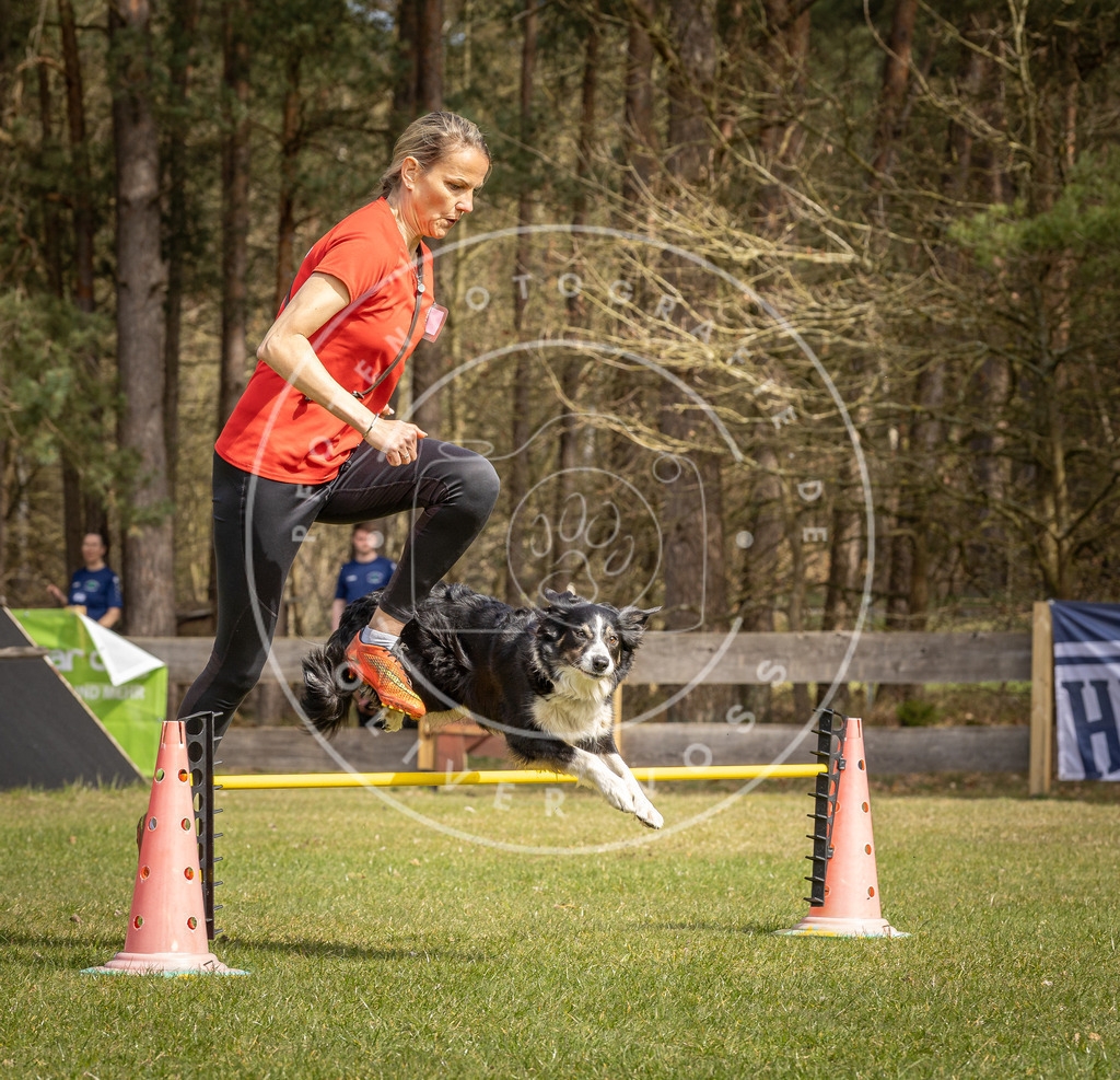 Pfotenfotografie_DV3A6563 | Hundefotografie, Tierfotograf, Pfotenfotografie, Fotoshooting Hund, Hunde Portrait, Hundesport, Hundeportraits, Heideshooting, Hunde, Sportfotograf, Hundefotograf, Turnierhundsport, THS,  - Realisiert mit Pictrs.com