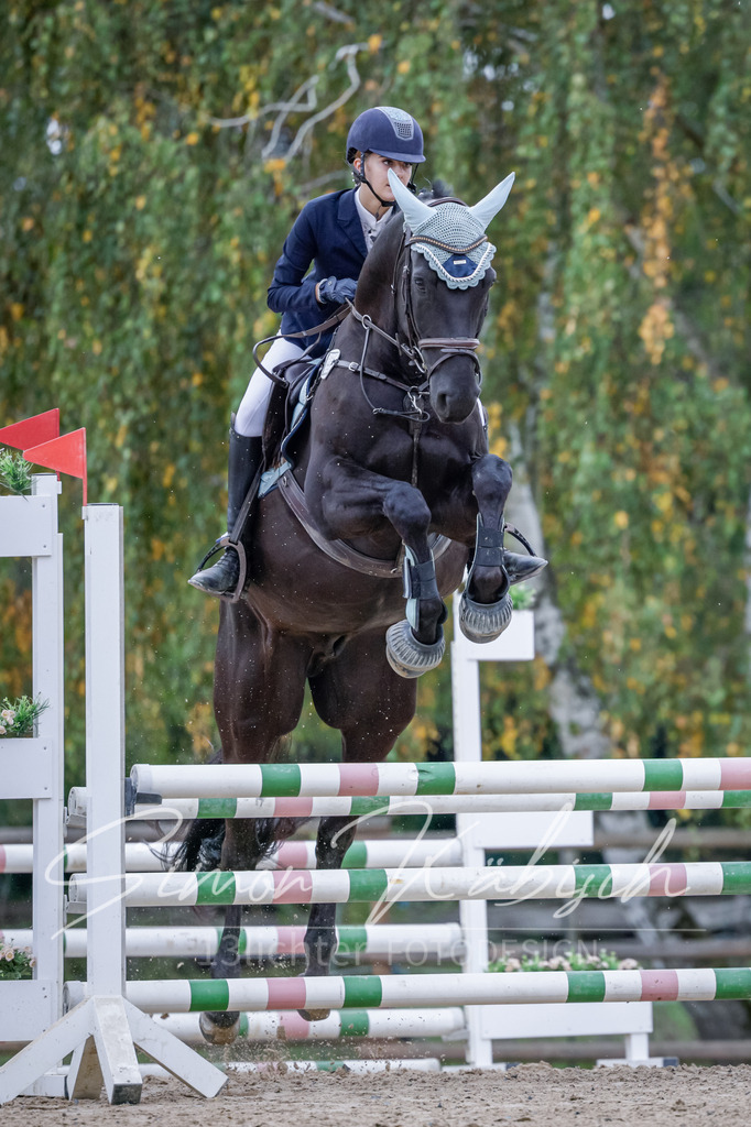 20251012-_3LI4383 | Tierfotografie Pferde, Hunde, Katzen, Haustiere.
Turnierfotografie Reitturniere, Reiten, Springreiten, Dressur in Hanau, dem Main-Kinzig-Kreis und dem Rhein-Main- Gebiet um Frankfurt