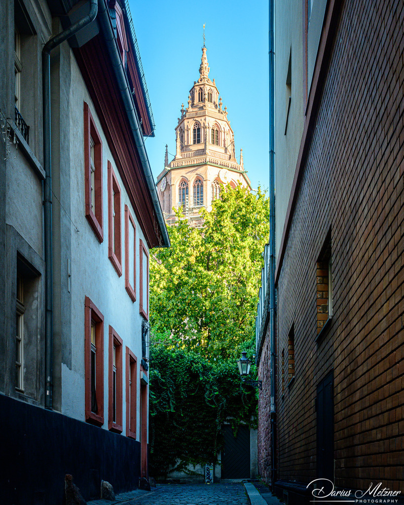 Der Mainzer Dom St Martin | Der Mainzer Dom St Martin