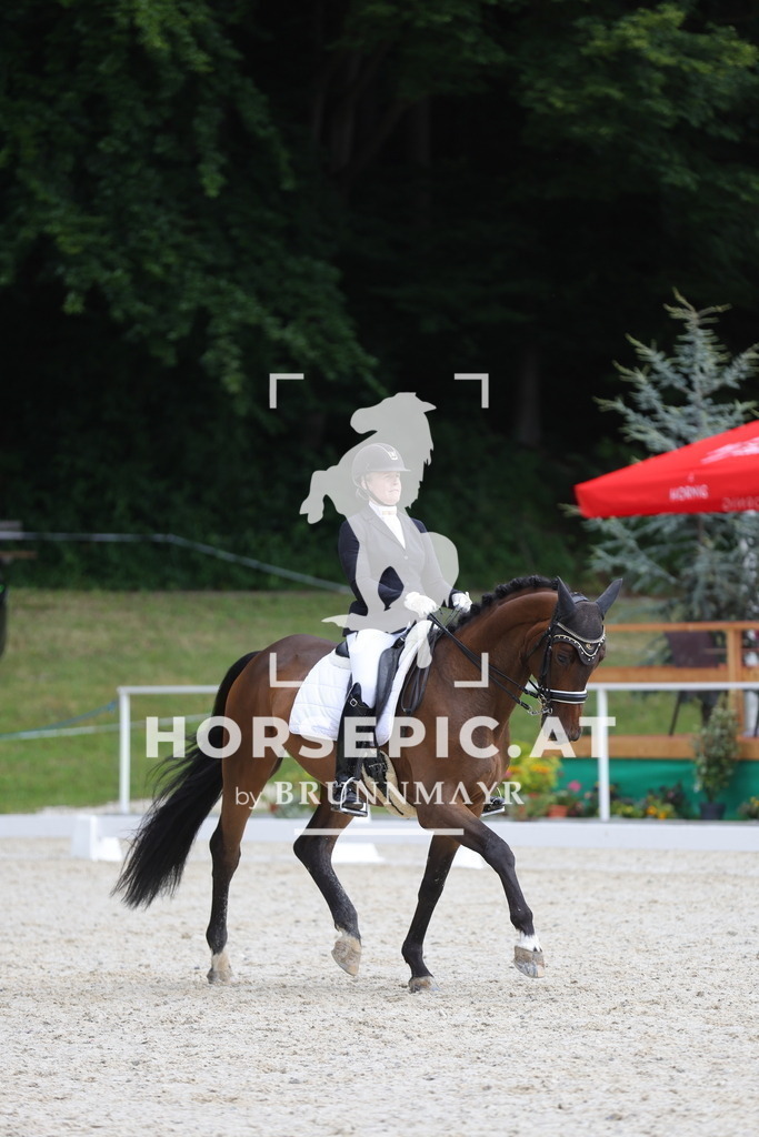 0P6A9516 | Willkommen bei Brunnmayr - Design & Fotografie – Ihrem Spezialisten für Reitturniere und Pferdeveranstaltungen in Oberösterreich, Salzburg und Bayern! Seit über 17 Jahren sind wir leidenschaftlich dabei.