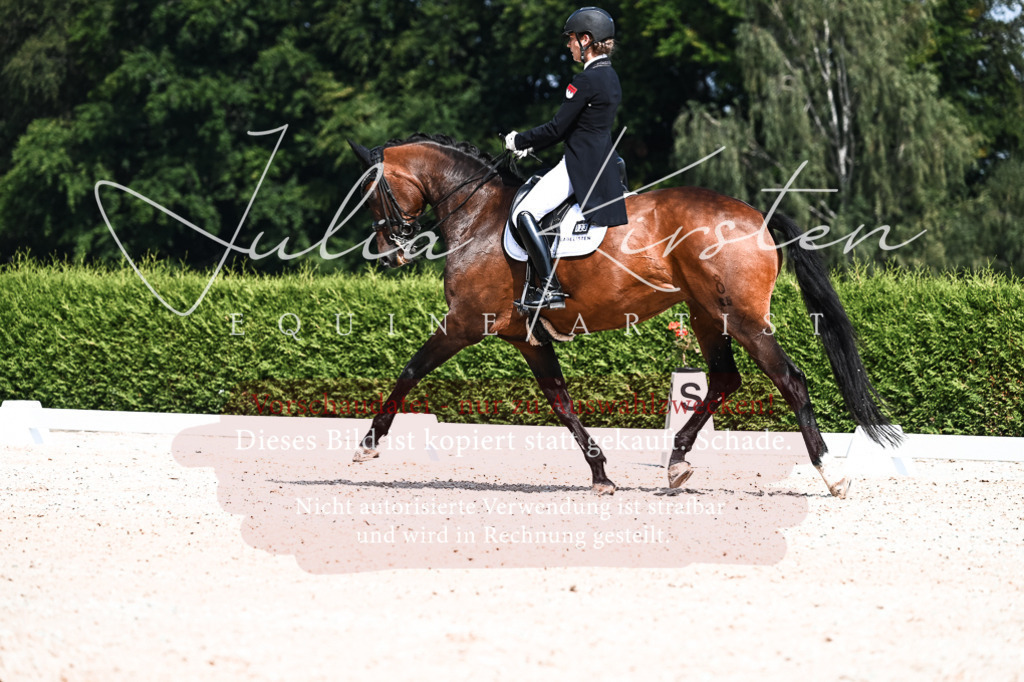 DSC_3064 | Pferde- und Turnierfotografie in Westsachsen. Pferdeportraits, Auftragszeichnungen und intuitive Kunst.
