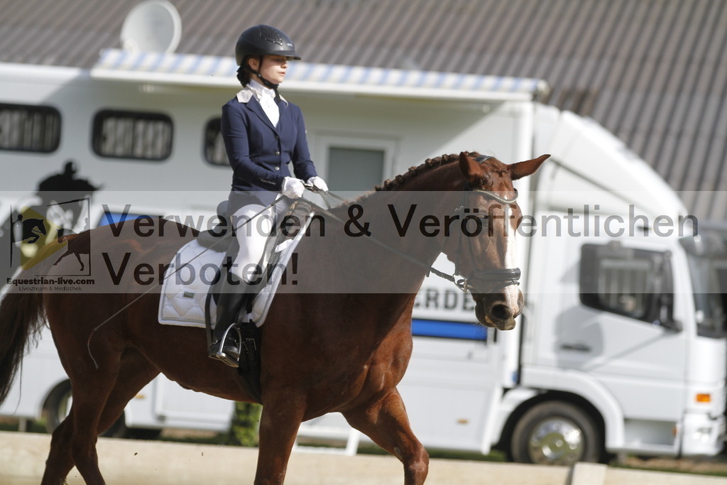 _MG_0240 | equestrian-live-com