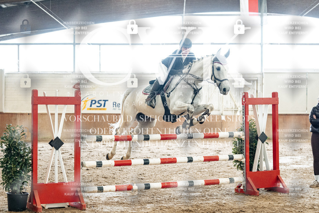 CK906281 | Turnierfotografie Pferdefotografie Trier Rheinland-Pfalz Pferdesport Reitsport Tierfotografie Sportfotografie Pferdevideo Pferdevideografie Equestrianvideography equestrianphotography  - Realized with Pictrs.com