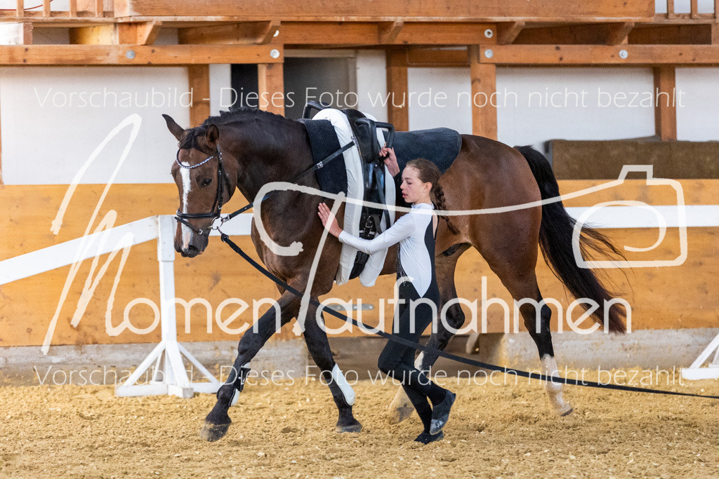 VTD-Voltigierpferde-065 | MomenTaufnahmen Pferdesportfotos