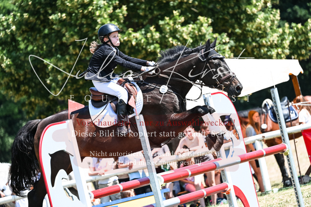 DSC_0349 | Pferde- und Turnierfotografie in Westsachsen. Pferdeportraits, Auftragszeichnungen und intuitive Kunst.