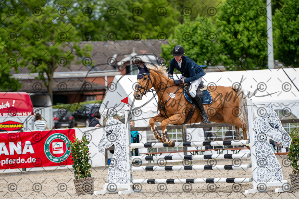 KPT_5442 | andre_photographic