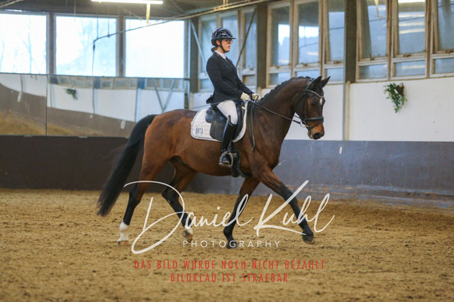 IMG_7698 | Turniersportfotografie; Pferdefotografie; Dressurfotografie