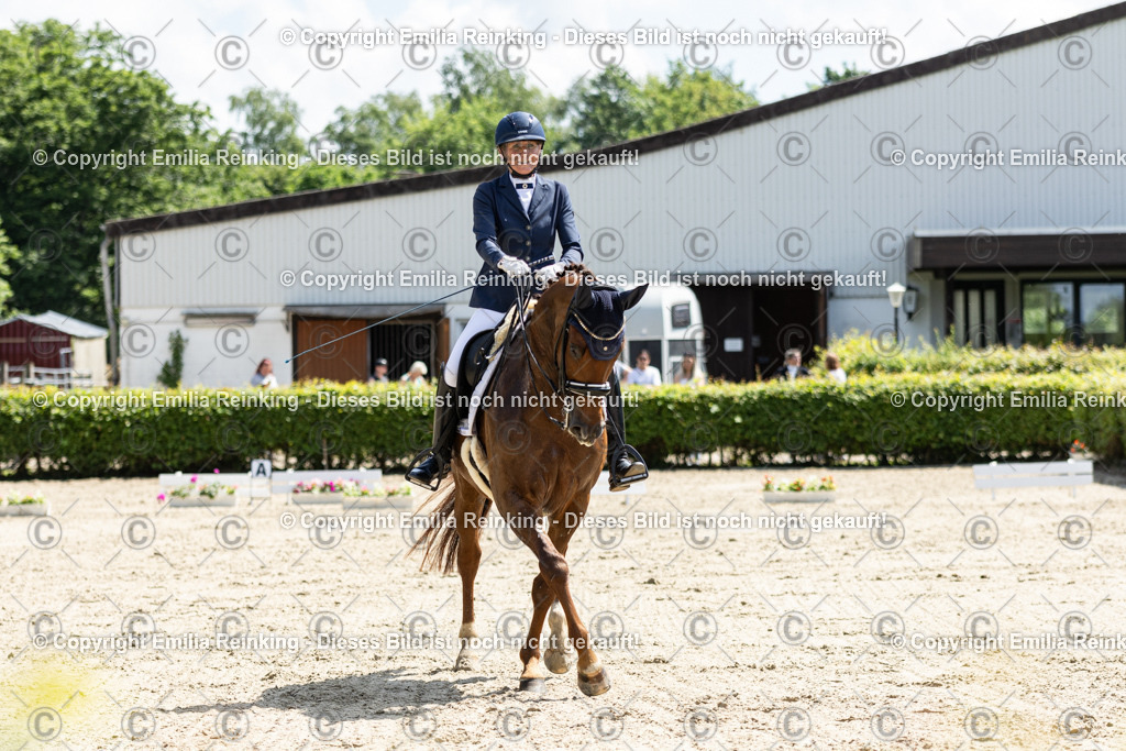 CL5A8250 | Emilia Reinking Fotografie - Realisiert mit Pictrs.com