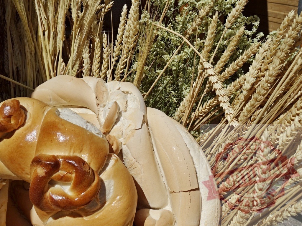 Fresh bread loaves and ripe wheat ears representing harvest | Freshly baked bread and golden wheat ears symbolizing food, agriculture, and tradition - Realisiert mit Pictrs.com