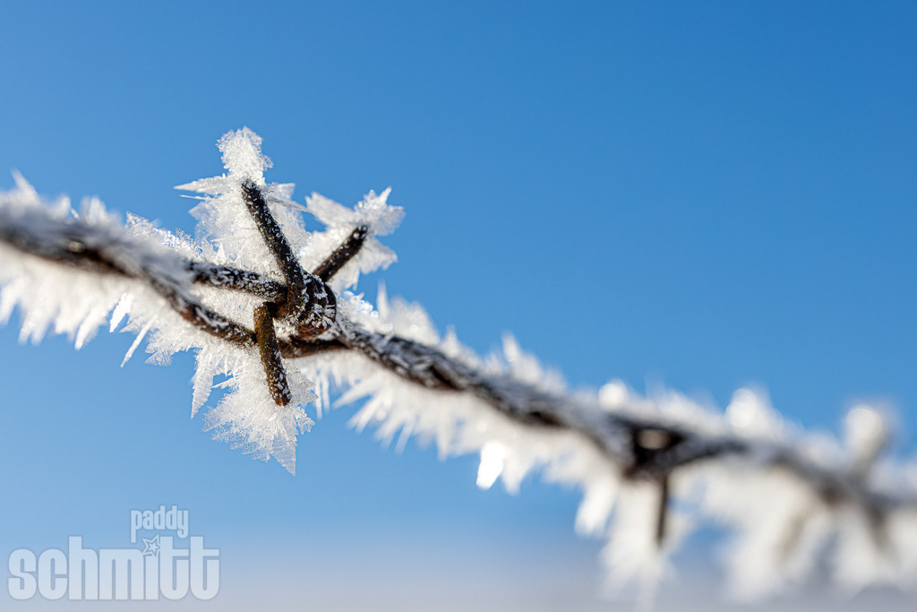 PS-Winter-2026-99 | Entdecke die größte Bildgalerie der Region mit Fotografien aus dem Allgäu, der Bodenseeregion, Oberschwaben, dem Donautal und der Schwäbischen Alb. Landschaften, Luftaufnahmen und Reisefotografie als Wandbild und Fotokunst. - Realisiert mit Pictrs.com