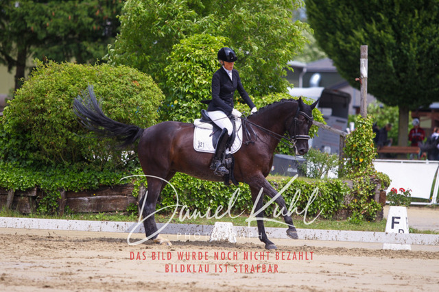 DKP40680 | Turniersportfotografie; Pferdefotografie; Dressurfotografie